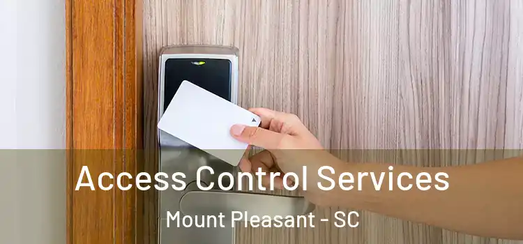  Access Control Services Mount Pleasant - SC