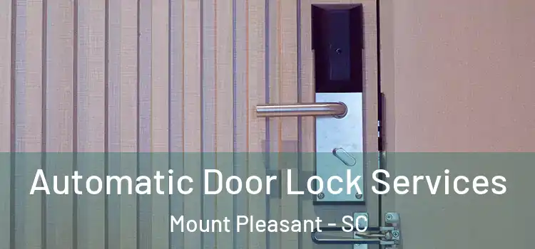  Automatic Door Lock Services Mount Pleasant - SC