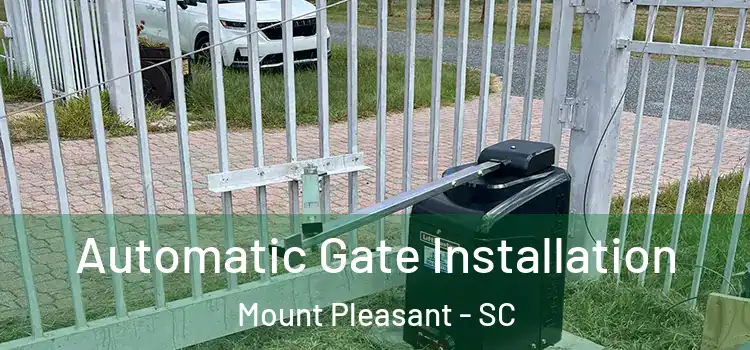  Automatic Gate Installation Mount Pleasant - SC