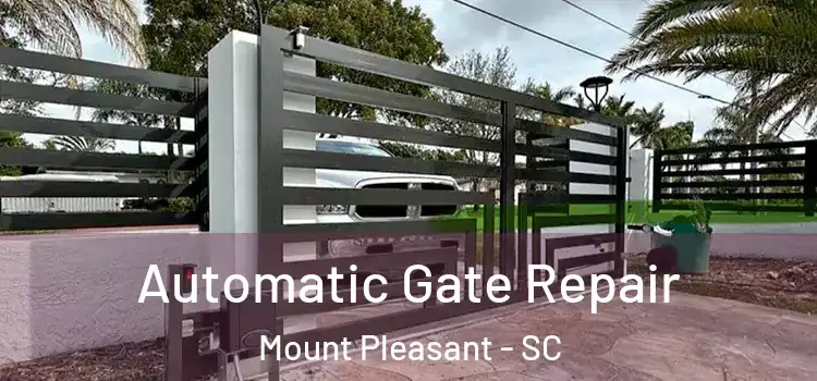  Automatic Gate Repair Mount Pleasant - SC