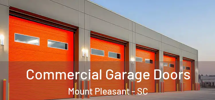  Commercial Garage Doors Mount Pleasant - SC