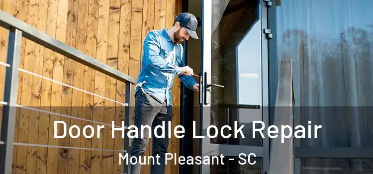  Door Handle Lock Repair Mount Pleasant - SC