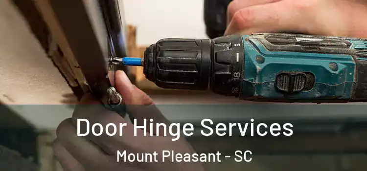  Door Hinge Services Mount Pleasant - SC