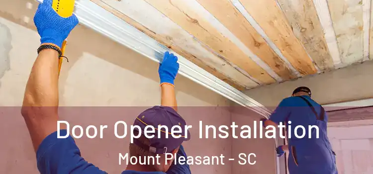  Door Opener Installation Mount Pleasant - SC