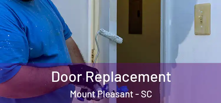  Door Replacement Mount Pleasant - SC