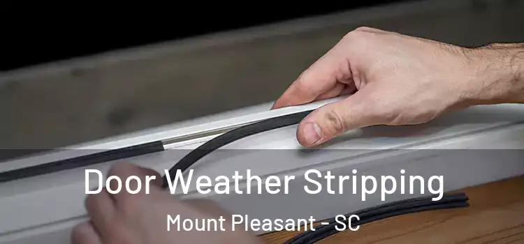 Door Weather Stripping Mount Pleasant - SC