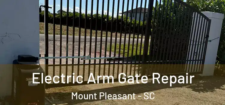 Electric Arm Gate Repair Mount Pleasant - SC