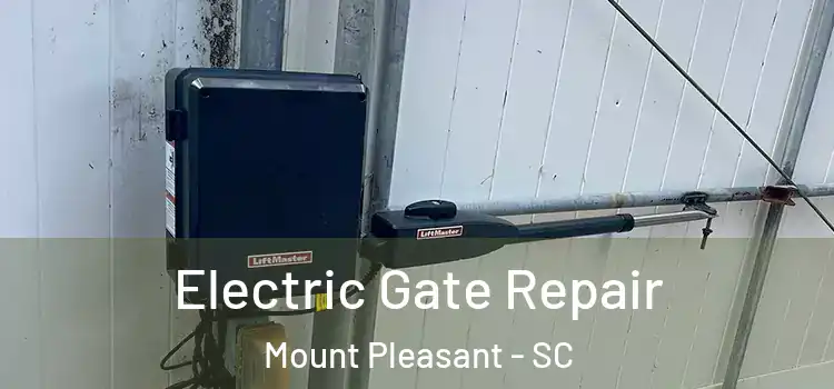  Electric Gate Repair Mount Pleasant - SC