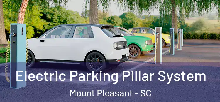  Electric Parking Pillar System Mount Pleasant - SC