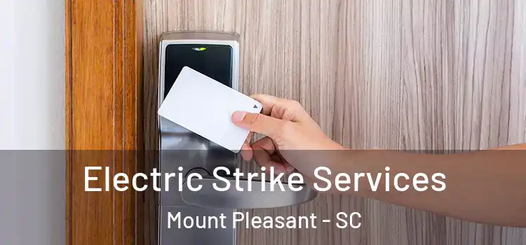  Electric Strike Services Mount Pleasant - SC