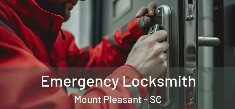  Emergency Locksmith Mount Pleasant - SC