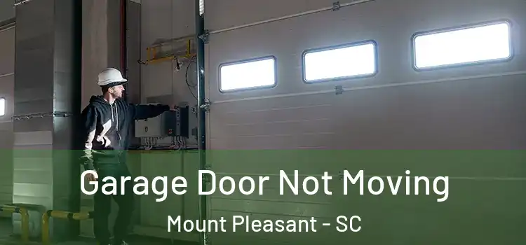  Garage Door Not Moving Mount Pleasant - SC