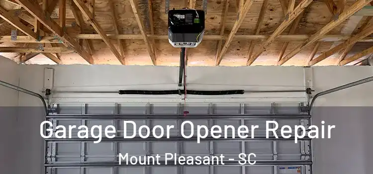  Garage Door Opener Repair Mount Pleasant - SC