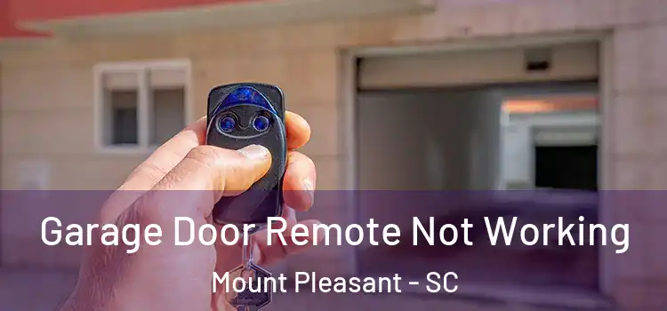  Garage Door Remote Not Working Mount Pleasant - SC