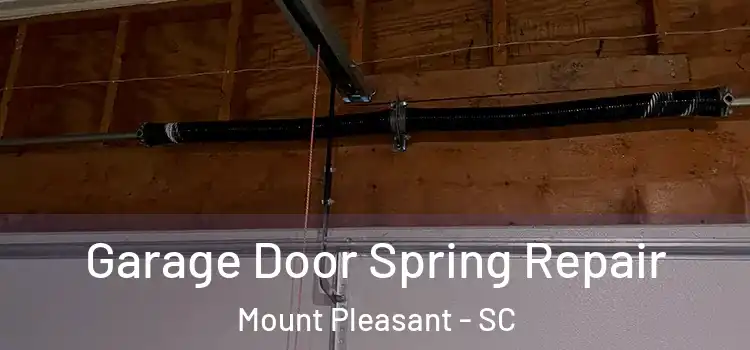  Garage Door Spring Repair Mount Pleasant - SC