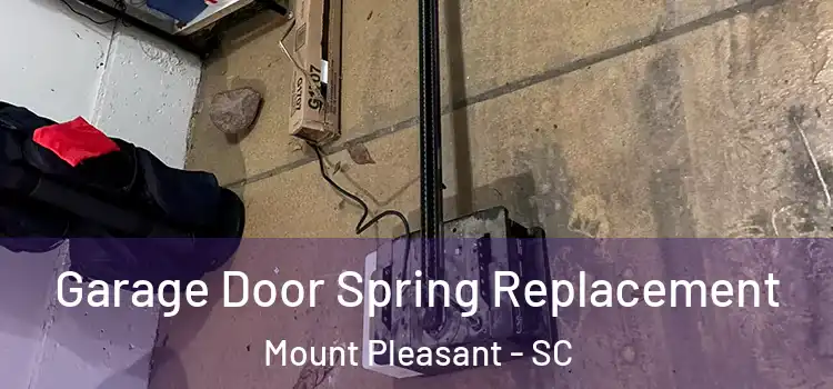  Garage Door Spring Replacement Mount Pleasant - SC