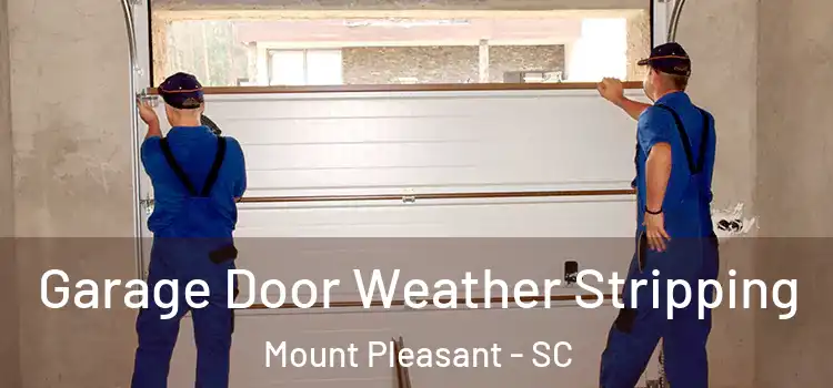  Garage Door Weather Stripping Mount Pleasant - SC