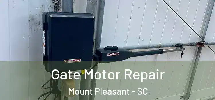Gate Motor Repair Mount Pleasant - SC