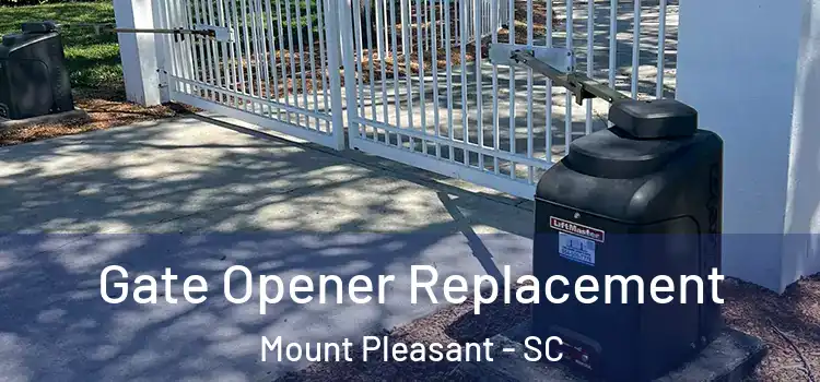  Gate Opener Replacement Mount Pleasant - SC