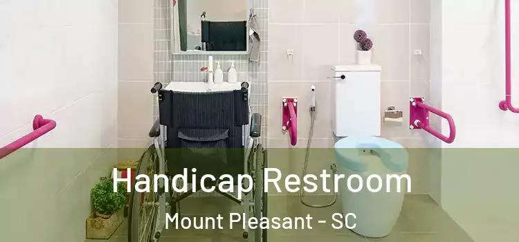  Handicap Restroom Mount Pleasant - SC