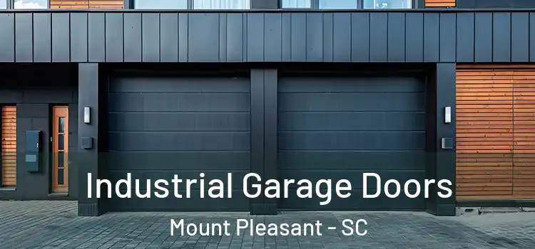  Industrial Garage Doors Mount Pleasant - SC