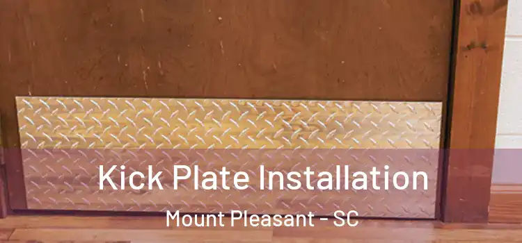  Kick Plate Installation Mount Pleasant - SC