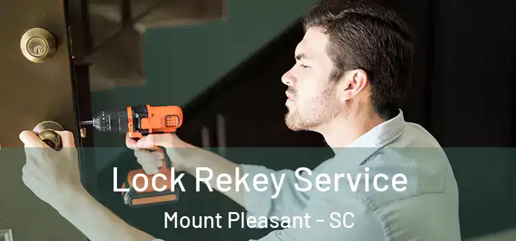  Lock Rekey Service Mount Pleasant - SC