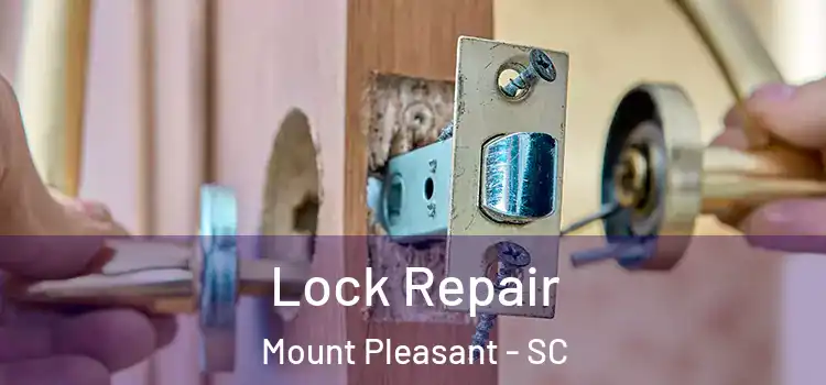  Lock Repair Mount Pleasant - SC