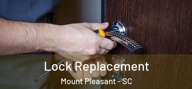  Lock Replacement Mount Pleasant - SC