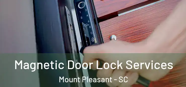  Magnetic Door Lock Services Mount Pleasant - SC