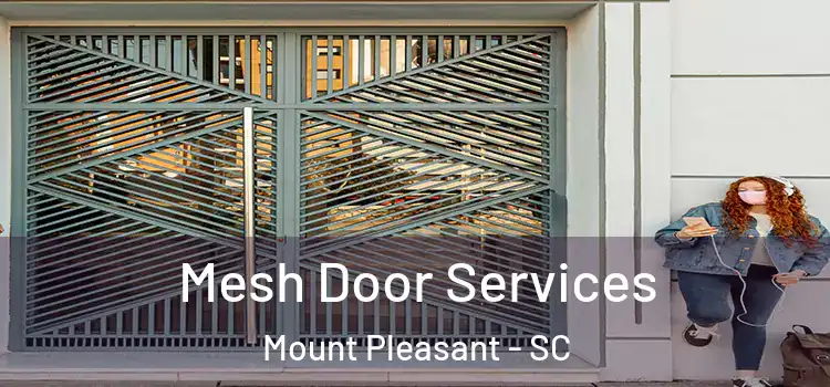  Mesh Door Services Mount Pleasant - SC