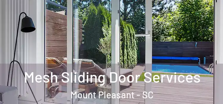  Mesh Sliding Door Services Mount Pleasant - SC