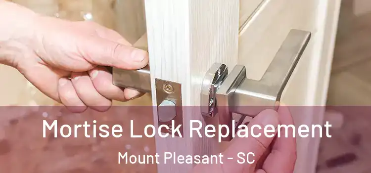  Mortise Lock Replacement Mount Pleasant - SC