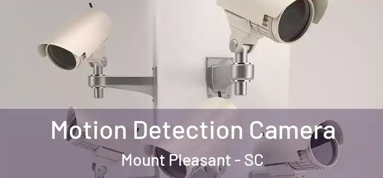  Motion Detection Camera Mount Pleasant - SC