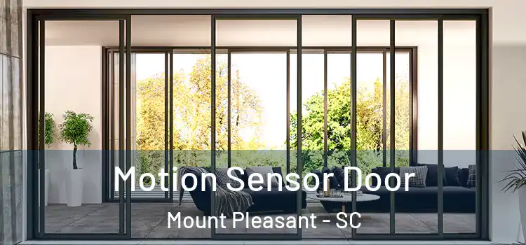  Motion Sensor Door Mount Pleasant - SC