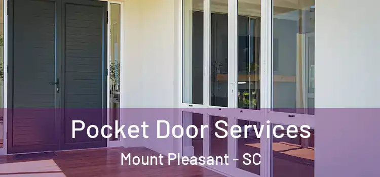  Pocket Door Services Mount Pleasant - SC