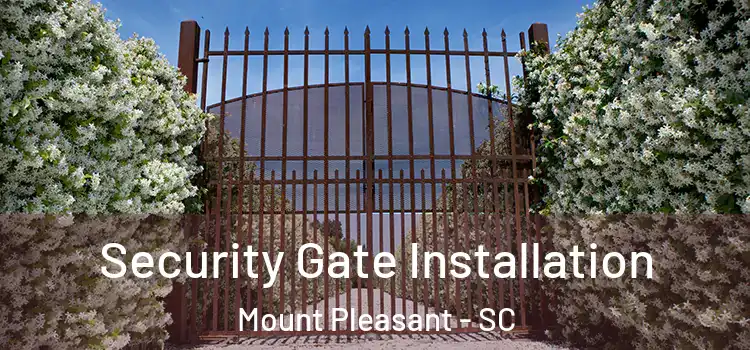  Security Gate Installation Mount Pleasant - SC