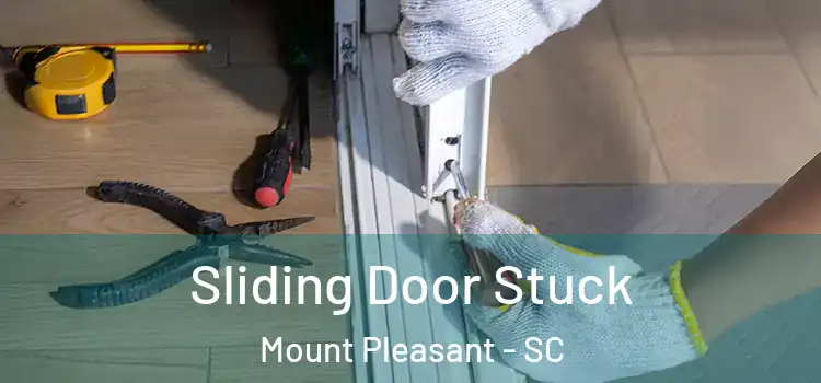  Sliding Door Stuck Mount Pleasant - SC