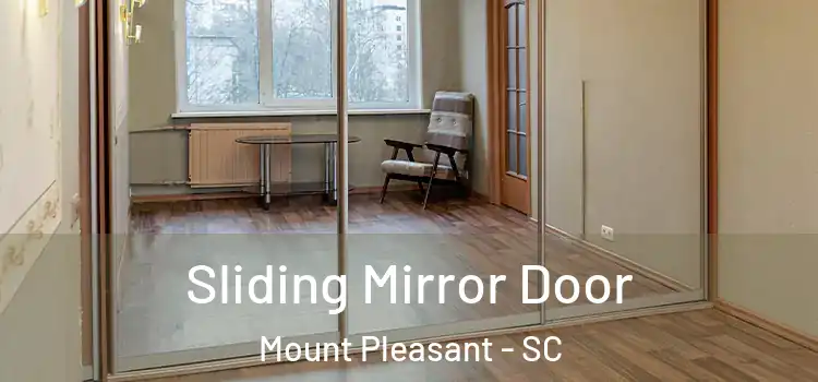  Sliding Mirror Door Mount Pleasant - SC